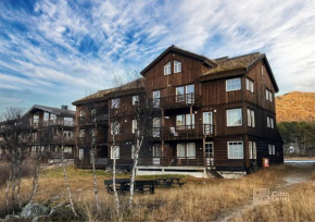 Modern central apartment in Hovden